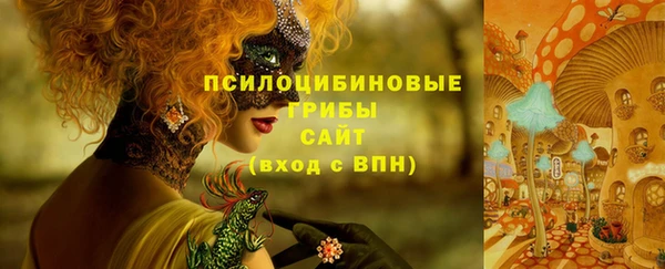 ешки Алексеевка
